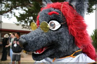 IMG_8557.jpg