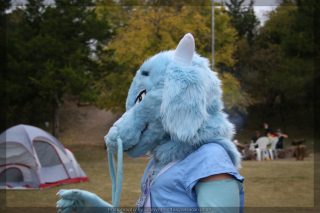 IMG_8656.jpg