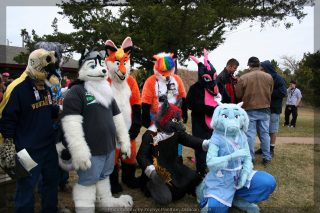 IMG_8684.jpg
