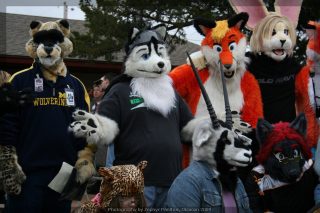 IMG_8714.jpg