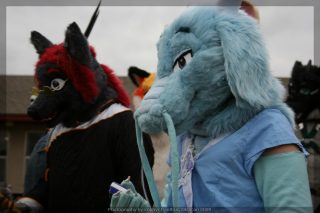 IMG_8869.jpg