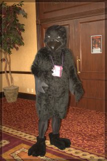 IMG_2320.jpg