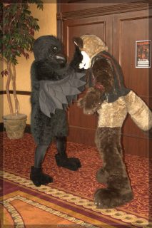 IMG_2331.jpg