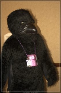 IMG_2335.jpg