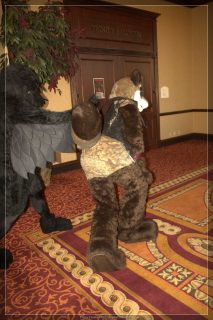 IMG_2337.jpg