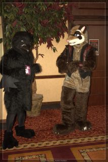 IMG_2340.jpg