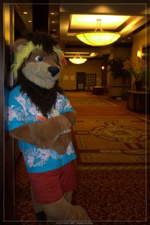 IMG_2428.jpg