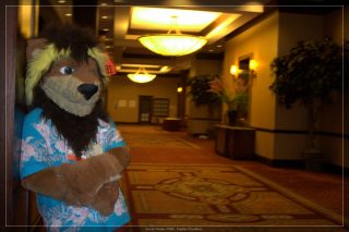 IMG_2429.jpg