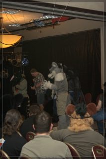 IMG_2541.jpg