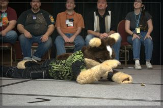 IMG_2567.jpg