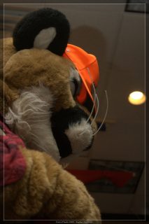 IMG_2663.jpg