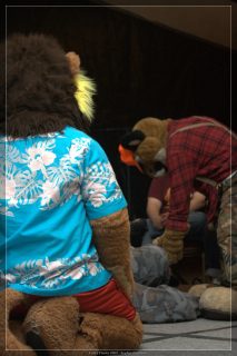 IMG_2666.jpg