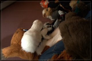 IMG_2669.jpg