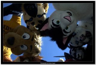 IMG_0508.jpg