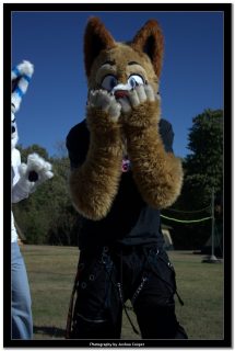 IMG_0679.jpg