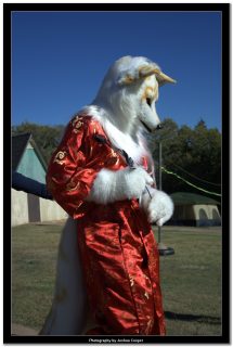 IMG_0683.jpg