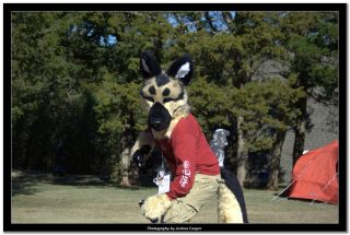 IMG_0717.jpg