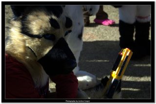 IMG_0746.jpg