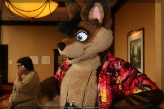 IMG_9437.jpg