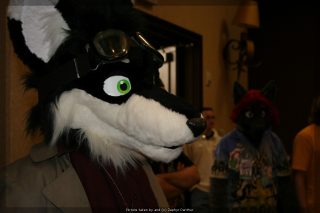 IMG_9450.jpg