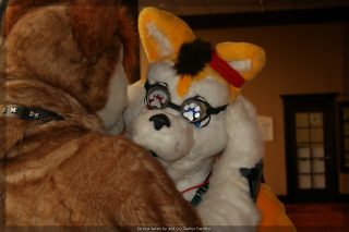 IMG_9477.jpg