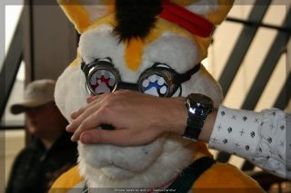 IMG_9479.jpg