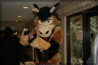 IMG_9522.jpg