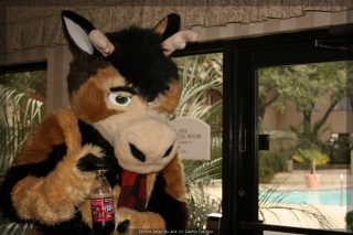IMG_9523.jpg