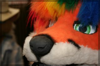 IMG_9533.jpg