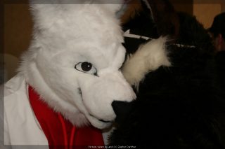 IMG_9537.jpg