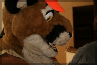IMG_9542.jpg