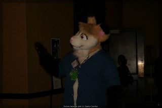 IMG_9565.jpg