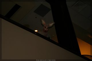 IMG_9571.jpg