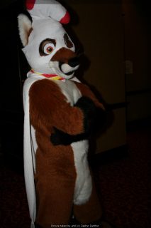 IMG_9585.jpg