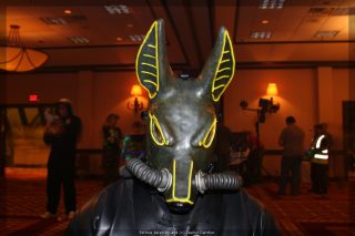 IMG_9594.jpg