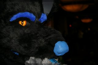 IMG_9660.jpg
