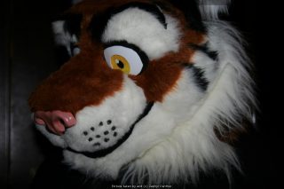 IMG_9667.jpg