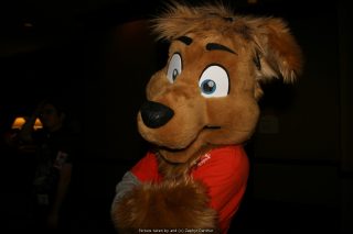 IMG_9671.jpg