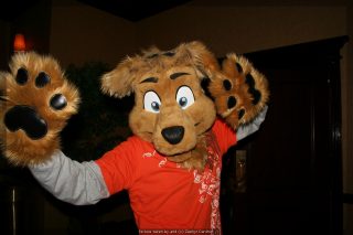 IMG_9684.jpg