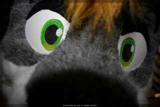 IMG_9700.jpg