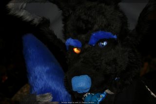 IMG_9735.jpg