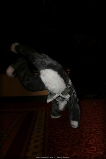 IMG_9742.jpg