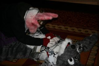 IMG_9746.jpg