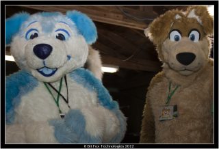 IMG_2927.jpg
