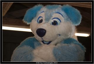 IMG_2931.jpg