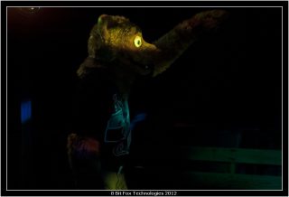 IMG_2999.jpg