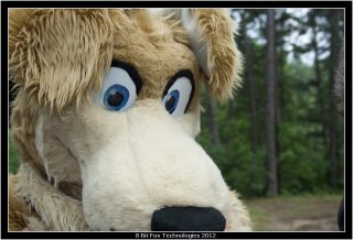 IMG_3083.jpg