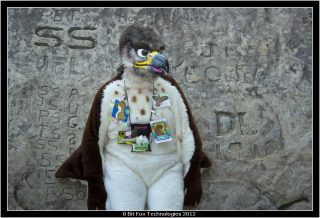 IMG_3347.jpg