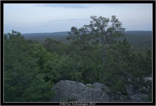 IMG_3398.jpg