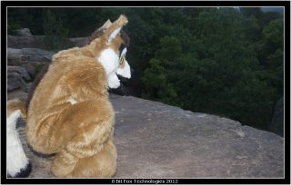 IMG_3405.jpg
